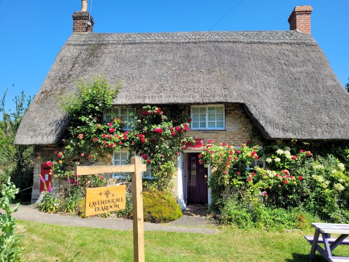 Lavender Bee Tearoom