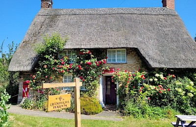 Lavender Bee Tearoom