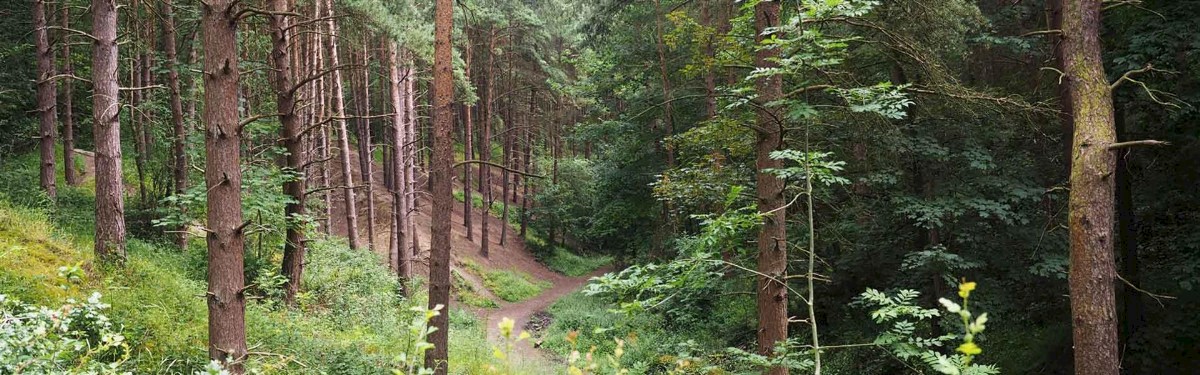 Irchester Country Park