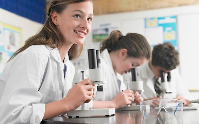 Education & Learning