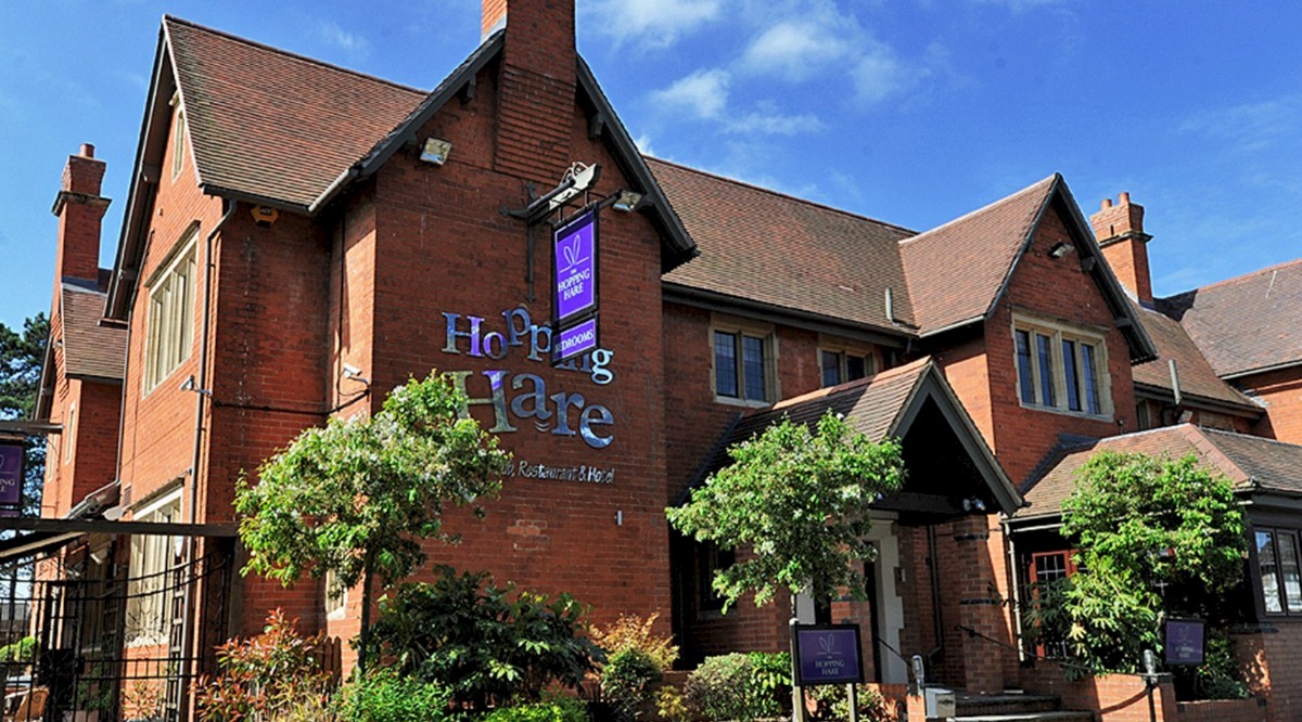 The Hopping Hare