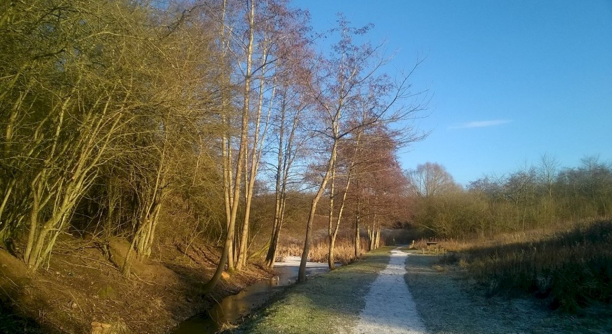 Fermyn Woods Country Park