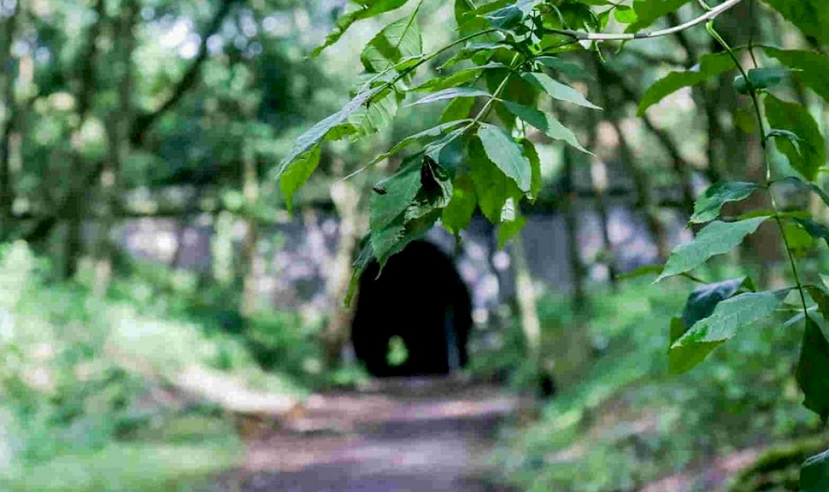 Brampton Valley Way
