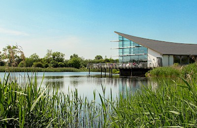 Stanwick Lakes