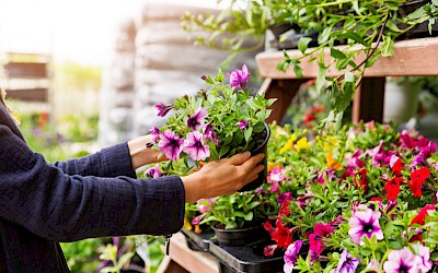 Home & Garden