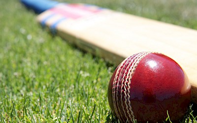 Cricket