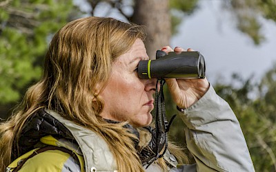 Bird Watching