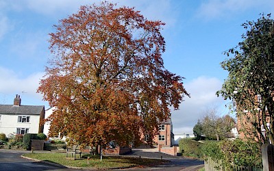 East Farndon